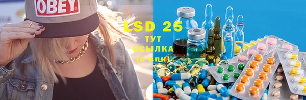 PSILOCYBIN Алексин