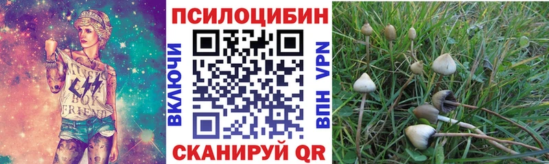 Купить  Старый Крым  Псилоцибиновые грибы мицелий 